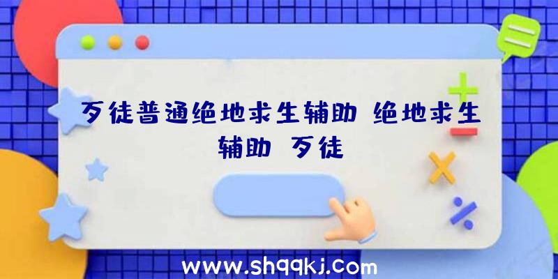 歹徒普通绝地求生辅助、绝地求生辅助